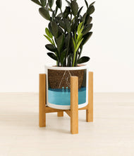 Load image into Gallery viewer, White stand:light