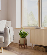 Load image into Gallery viewer, Olive stand:walnut