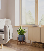 Load image into Gallery viewer, Deep Navy stand:walnut