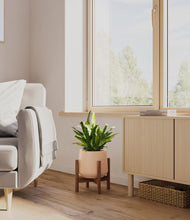 Load image into Gallery viewer, Gentle Pink stand:walnut