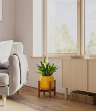 Load image into Gallery viewer, Mustard stand:walnut