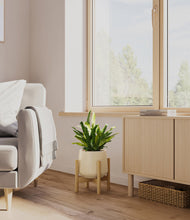 Load image into Gallery viewer, Almond Green stand:bamboo