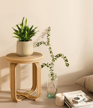 Load image into Gallery viewer, Almond Green