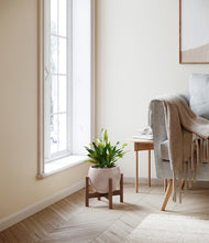 Load image into Gallery viewer, Desert Brown stand:walnut