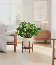 Load image into Gallery viewer, Sandy Pink stand:walnut