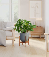 Load image into Gallery viewer, Iron Gray stand:bamboo