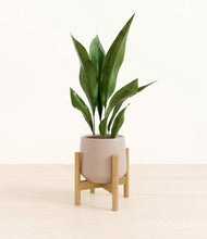 Load image into Gallery viewer, Eternal Gray stand:bamboo