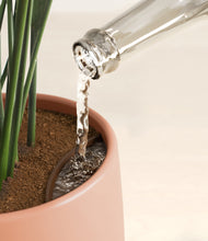 Load image into Gallery viewer, Calm Rose stand:all