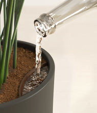 Load image into Gallery viewer, Dark Olive stand:all