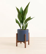 Load image into Gallery viewer, Deep Navy stand:walnut