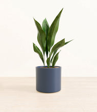 Load image into Gallery viewer, Deep Navy*****Profile