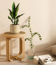 Load image into Gallery viewer, Almond Green