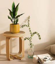 Load image into Gallery viewer, Mustard