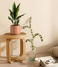 Load image into Gallery viewer, Calm Rose