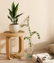 Load image into Gallery viewer, Shiny EggWhite