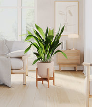 Load image into Gallery viewer, Sandy Pink stand:bamboo