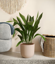 Load image into Gallery viewer, Sandy Pink