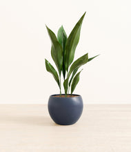 Load image into Gallery viewer, Deep Navy*****Profile