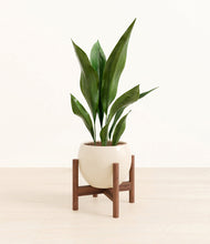 Load image into Gallery viewer, Shiny EggWhite stand:walnut