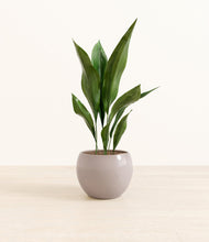 Load image into Gallery viewer, Winter Clouds*****Profile