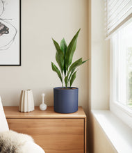 Load image into Gallery viewer, Deep Navy