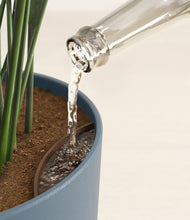 Load image into Gallery viewer, Iron Gray stand:all