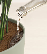 Load image into Gallery viewer, Sage Green stand:all