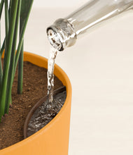 Load image into Gallery viewer, Sunset Orange stand:all