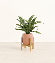 Load image into Gallery viewer, Calm Rose stand:bamboo