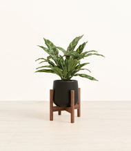 Load image into Gallery viewer, Black stand:walnut