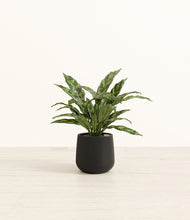 Load image into Gallery viewer, Black*****Profile