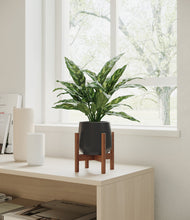 Load image into Gallery viewer, Black stand:walnut