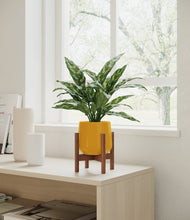Load image into Gallery viewer, Mustard stand:walnut