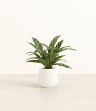 Load image into Gallery viewer, White*****Profile