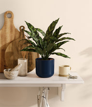 Load image into Gallery viewer, Twilight Blue