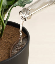 Load image into Gallery viewer, Stone Black