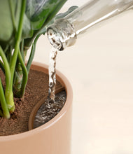 Load image into Gallery viewer, Glossy Pink stand:all