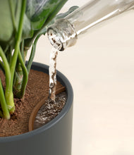 Load image into Gallery viewer, Iron Gray stand:all