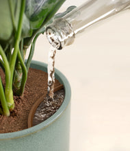 Load image into Gallery viewer, Reactive Aqua stand:all