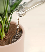 Load image into Gallery viewer, Sandy Pink stand:all