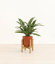 Load image into Gallery viewer, Glossy Red stand:bamboo