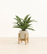 Load image into Gallery viewer, Sage Green stand:bamboo