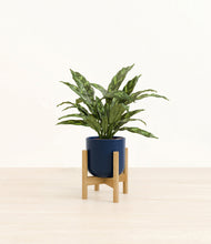 Load image into Gallery viewer, Twilight Blue stand:bamboo