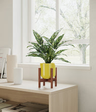 Load image into Gallery viewer, Key Lime Yellow stand:walnut
