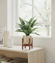 Load image into Gallery viewer, Sage Green stand:walnut