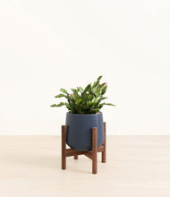 Load image into Gallery viewer, Deep Navy stand:walnut