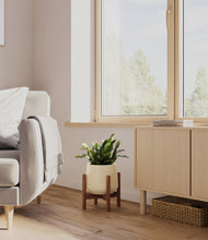 Load image into Gallery viewer, Almond Green stand:walnut