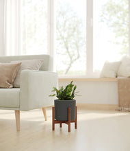 Load image into Gallery viewer, Dark Olive stand:walnut