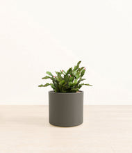 Load image into Gallery viewer, Dark Olive*****Profile