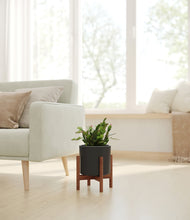 Load image into Gallery viewer, Black stand:walnut